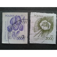 Польша 1990 стандарт цветы полная
