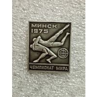 Чемпионат Мира 1975 , Минск