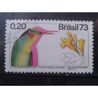 Бразилия 1973 Цветы, птица