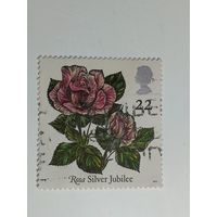 Великобритания 1991. Розы