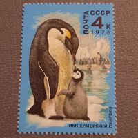 СССР 1978. Императорский пингвин. Марка из серии