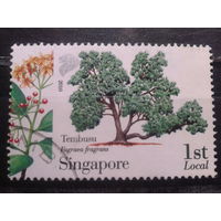 Сингапур, 2010. Дерево Тембусу