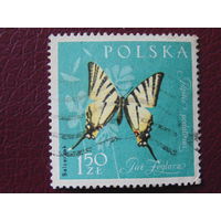 Польша 1967 г. Бабочки.