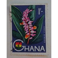 Гана.флора