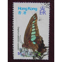 Британский Гонконг. Бабочки.