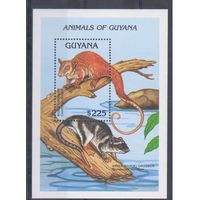 [201] Гайана 1992.Фауна.  БЛОК.