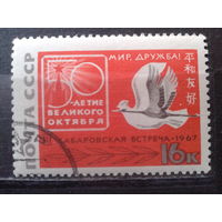 1967 Японо-советская дружба, птицы