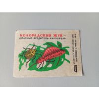 Спичечные этикетки ф.Белка. Колорадский жук - опасный вредитель картофеля. 1975 год