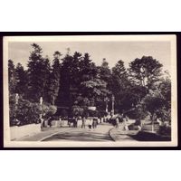 1958 год Трускавец Вход в парк
