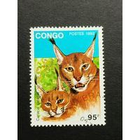 Конго 1992. Большие кошки. Каракал
