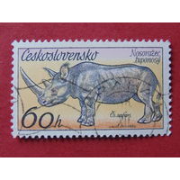 Чехословакия 1976 г. Носорог.