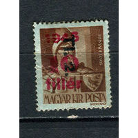Венгрия - 1946 - Янош Хуньяди с надпечаткой TI. 2 - (есть тонкое место) - [Mi.866] - 1 марка. MH.  (LOT DA12)