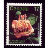 1 марка 1981 год Канада 805