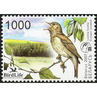 Соловей Птица года. Беларусь 2007 год (688) серия из 1 марки - фауна Беларуси