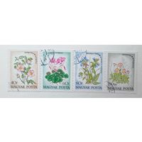 Венгрия 1973 / флора / цветы полевые//4 марки из серии