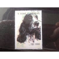 Сан-Томе и Принсипе 1995 Собака Михель-3,0 евро гаш