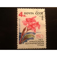 СССР 1962 цветы