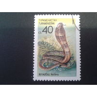 Туркменистан 1992 кобра