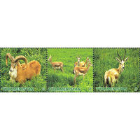 Животные Туркменистан 2009 год чистая серия из 3-х марок