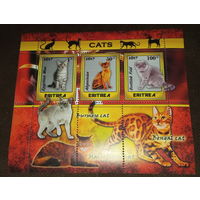 Серия блоков  фауна коты MNH