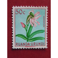 Руанда - Урунди. Флора