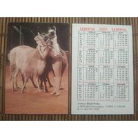 Карманный календарик.1984 год. Цирк.  Любовь Федотова