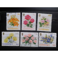 Гернси 1992-7 Стандарт, цветы Михель-3,8 евро гаш