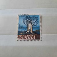 Замбия. Флора. Дерево Баобаб