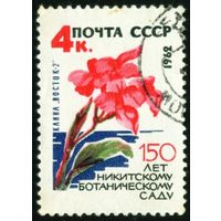 Никитинский ботанический сад СССР 1962 год 1 марка