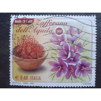 Италия 2008 Сделано в Италии, цветы Михель-1,2 евро гаш