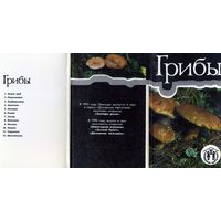 Набор открыток Кулинария Грибы