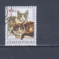 [867] Чехия 1999. Фауна.Кошки. Гашеная марка.