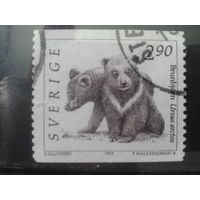 Швеция 1993 Медведи