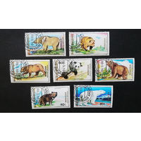 Монголия 1989 г. Медведи.  Фауна, полная серия из 7 марок #0098-Ф1P22