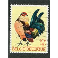 Бельгия. Птицеводство