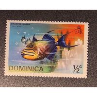 Доминика: 1м Рыба