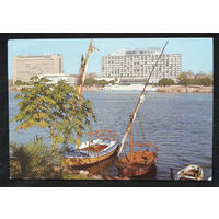 Каир. Египет. Вида на реку Нил. Виды городов. Архитектура. Чистая #0165-V1P83