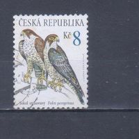 [867] Чехия 2003. Фауна.Птицы.Соколы. Гашеная марка.