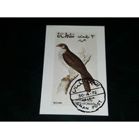 Оман 1972 Фауна. Птицы. Блок