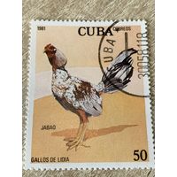 Куба 1981. Домашняя птица. Петух порода Jabao. Марка из серии
