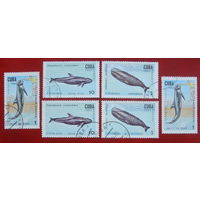 Куба. Киты. Дельфины. ( 5 марок ) 1984 года. 2-20.