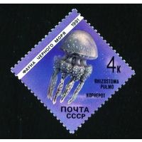 Фауна Черного моря СССР 1991 год