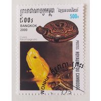 Камбоджа 2000. Черепаха