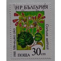 Болгария.1988.цветы