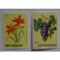 Сан-Марино.флора