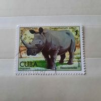 Куба 1978. Фауна Африки. Носорог
