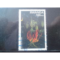 Руанда 1995 Цветок Михель-3,0 евро гаш