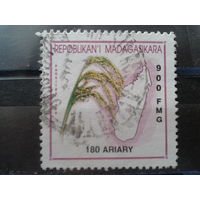 Магадаскар 2001 Стандарт, рис
