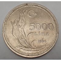 Турция 5.000 лир, 1994 (2-7-102)
