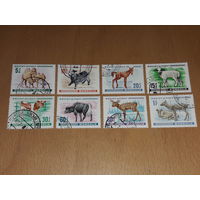 Монголия 1968 Фауна. Детеныши домашних животных. Полная серия 8 марок